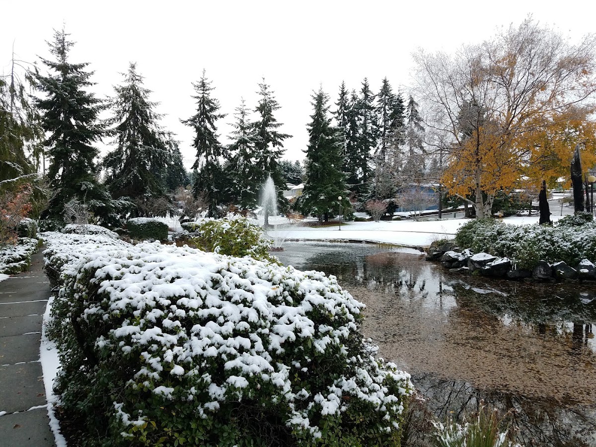 Village Concepts of Port Angeles - Park View Villas - Photo 2