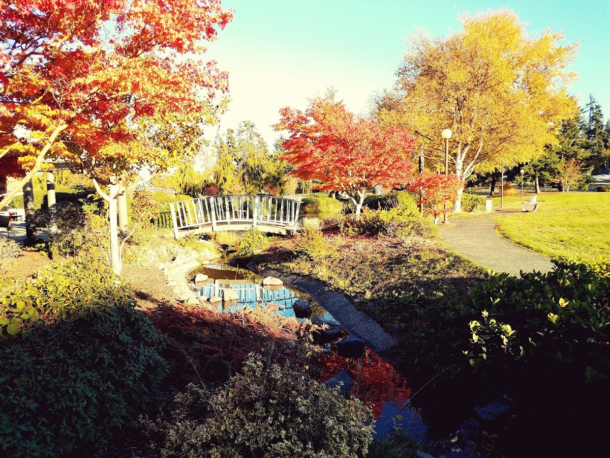 Village Concepts of Port Angeles - Park View Villas - Photo 3